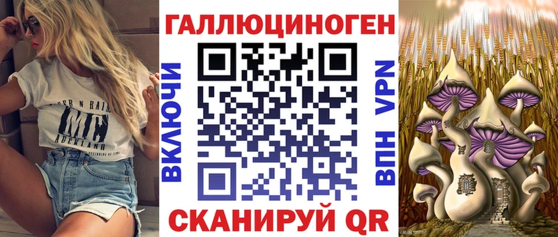 Псилоцибиновые грибы Magic Shrooms  купить   ссылка на мегу как войти  Теберда 