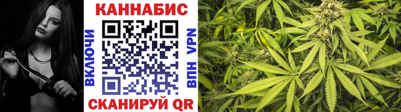Канабис план  закладка  Теберда 